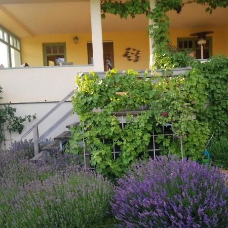 Ferienhaus Schiller Варен Екстер'єр фото