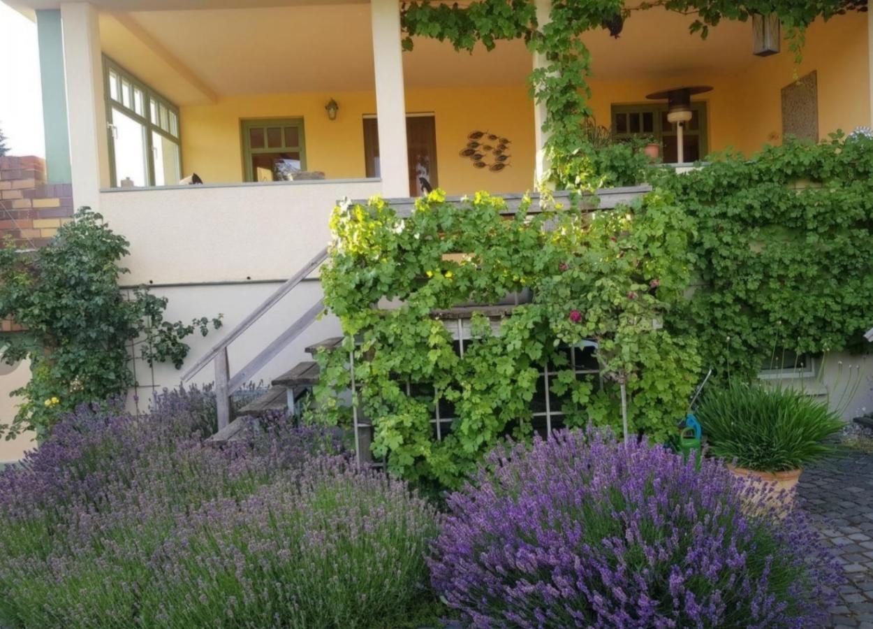 Ferienhaus Schiller Варен Екстер'єр фото